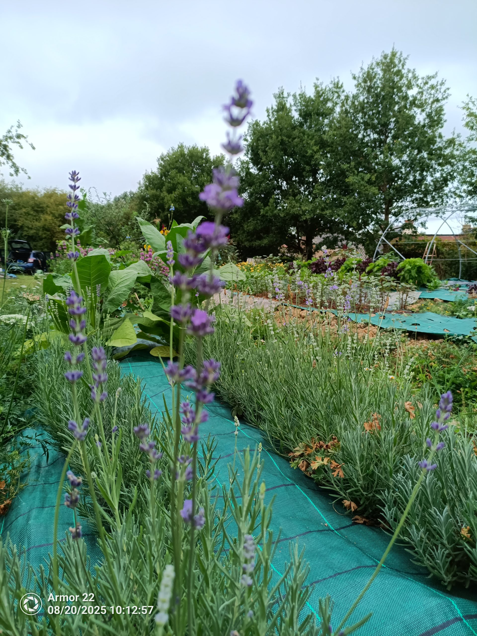  Bréant Matthieu- EARL Jeu de Pam - 49 120 Chemillé-En-Anjou<br />
