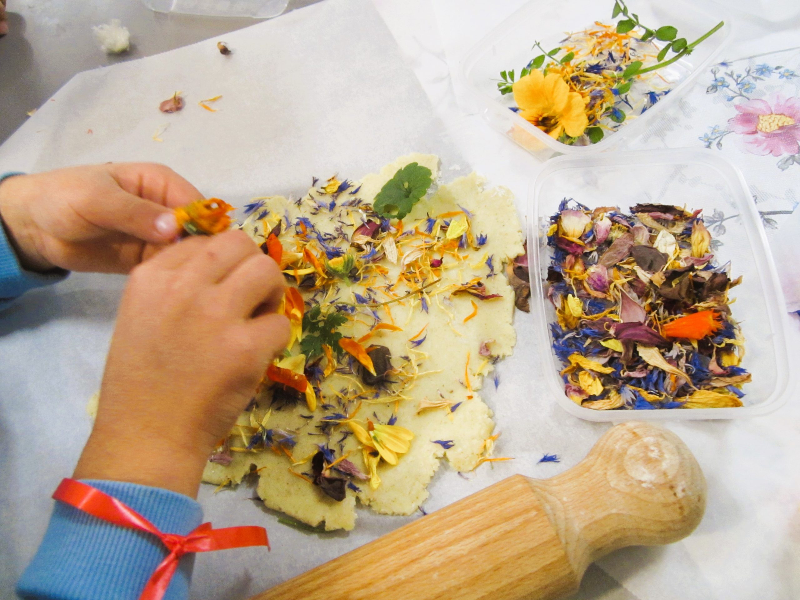  Bréant Matthieu- EARL Jeu de Pam - 49 120 Chemillé-En-Anjou<br />
